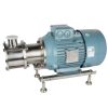 Sanitary Flexible Impeller Pump side2