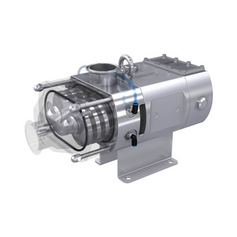 Sanitary Twin Screw Pump with Reducer & Motor - Donjoy Technology CO.,LTD