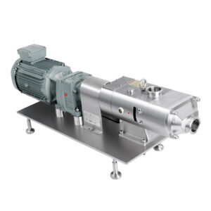 Screw pump with motor and reducer
